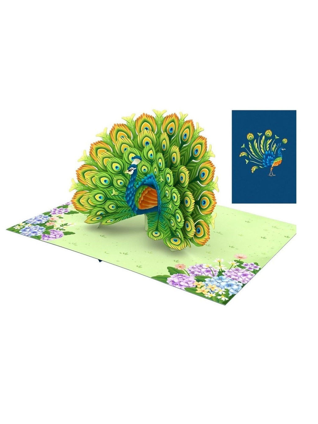 Biglietto Pop-up 3D Pavone, 15x15 Cm, Biglietto Di Auguri Per Matrimonio E Compleanno, Con Busta, Fatto A Mano, Eleganza E Sorpresa, Cologne Cards