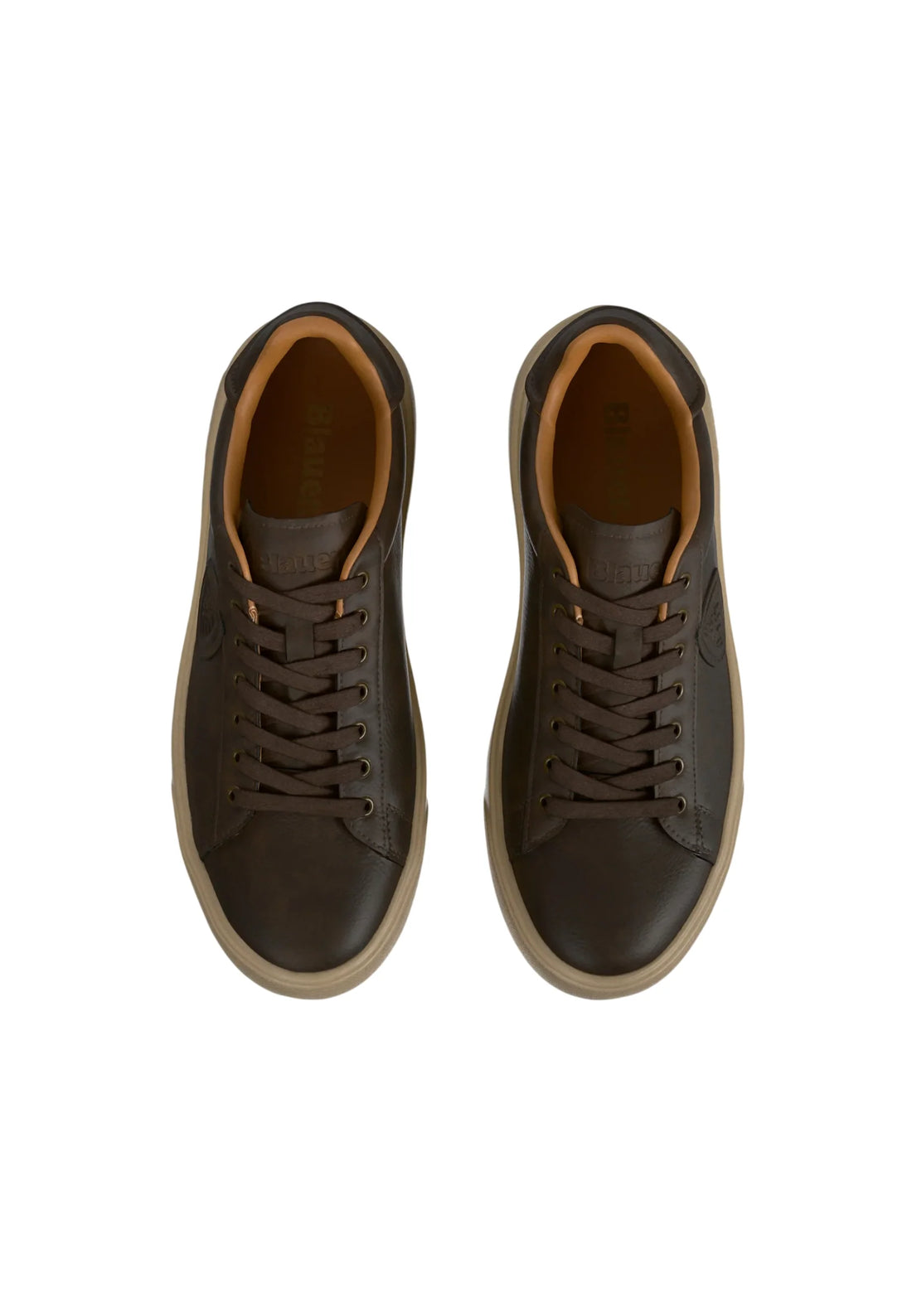 Blauer sneakers uomo Buck in ecopelle marrone