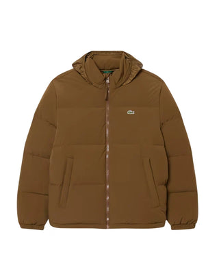 Lacoste piumino uomo impermabile con cappuccio marrone BH5154 DPD LACOSTE