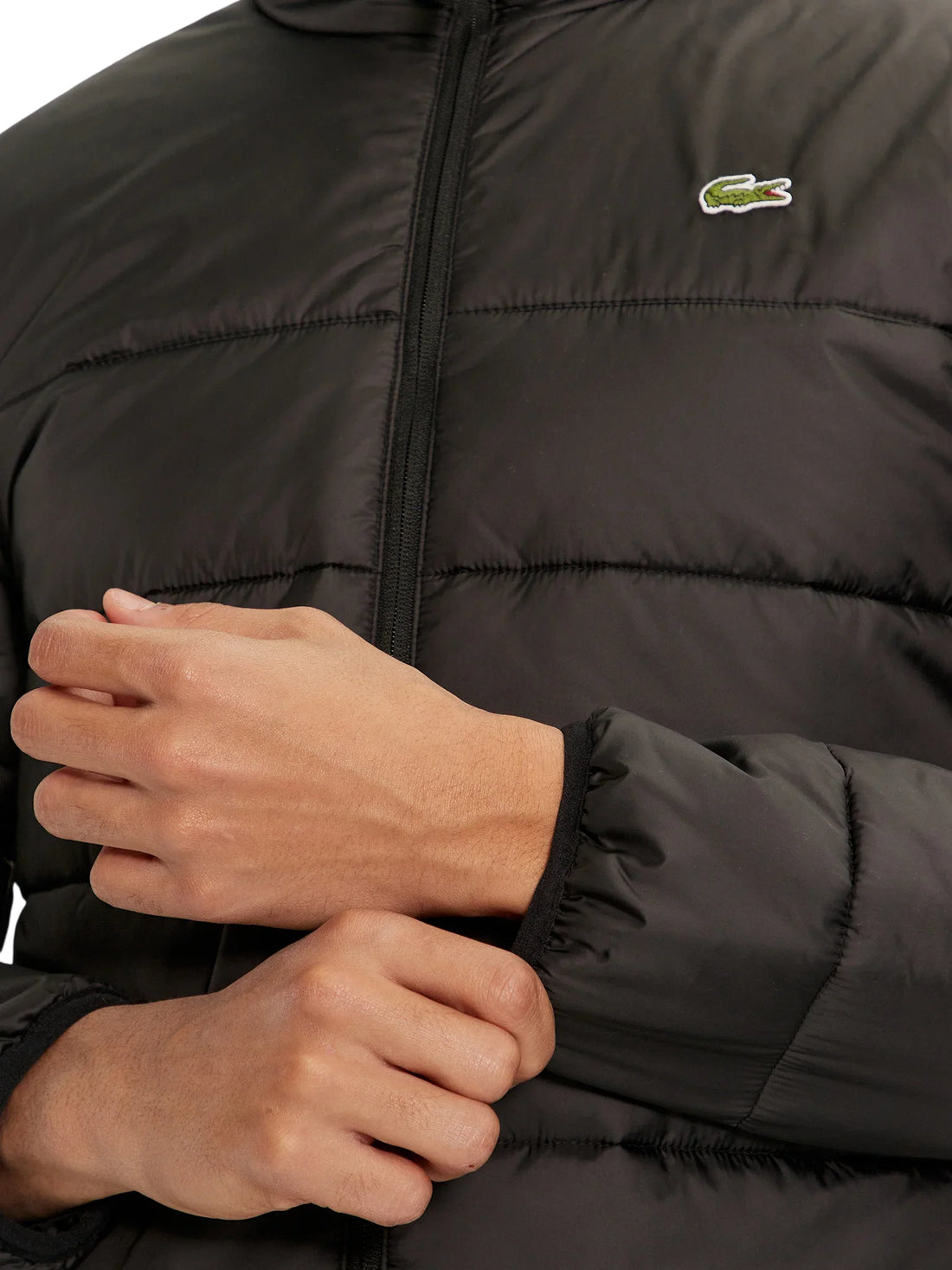 Lacoste piumino uomo trapuntato con cappuccio nero