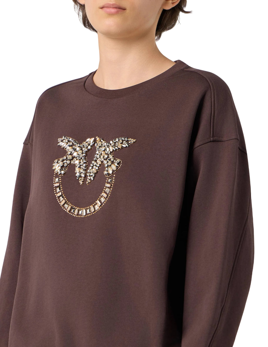 Pinko felpa Nelly con logo Love Birds gioiello marrone