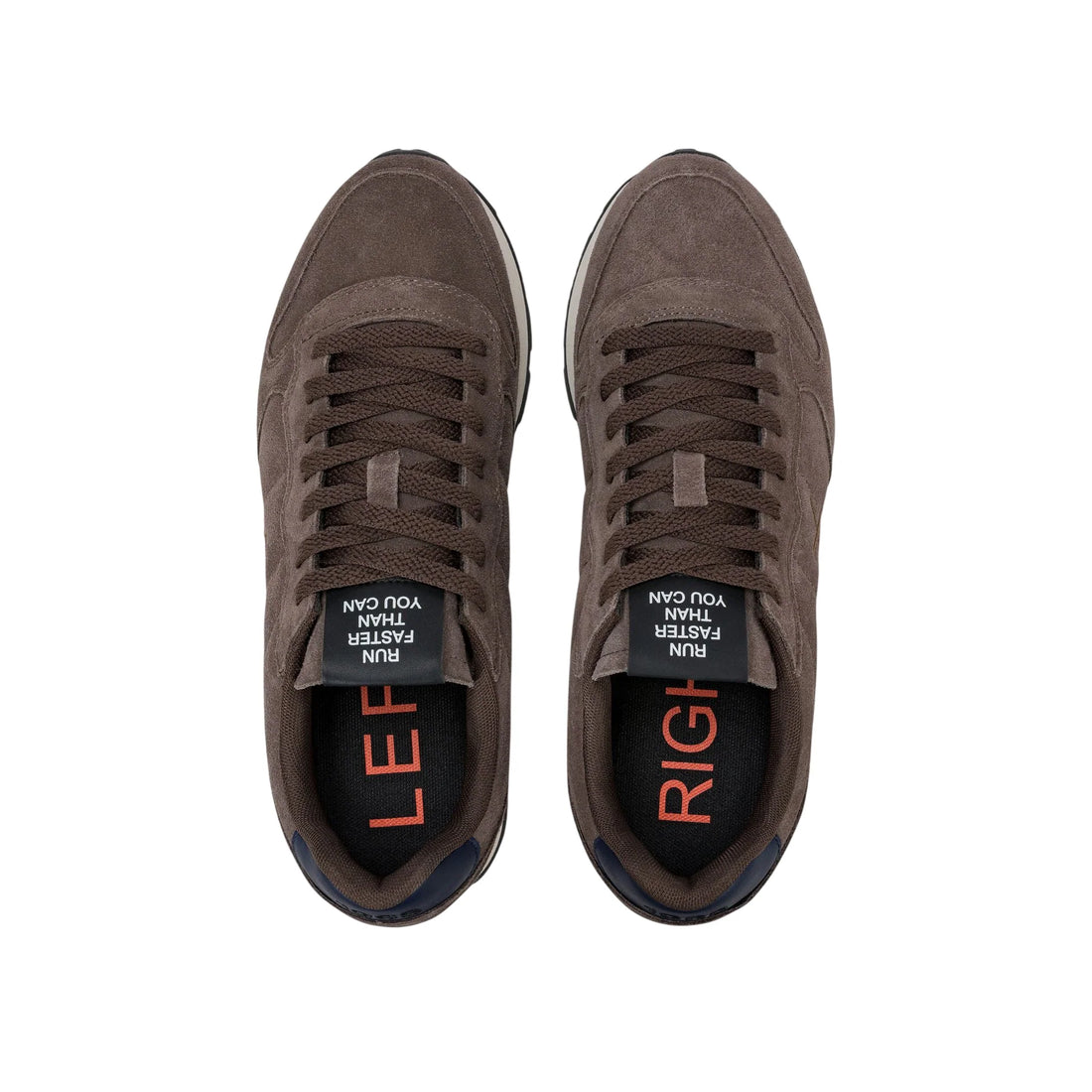 Sun68 sneakers uomo Tom Suede marrone