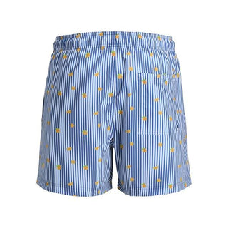 Jack&Jones boxer mare uomo a righe blu bianco