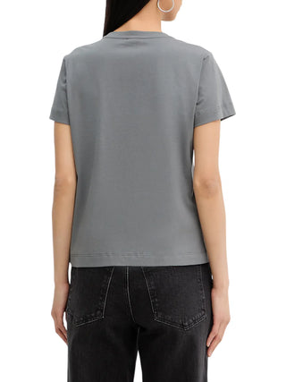 Pinko T-shirt Quentin con logo Love Birds gioiello grigio