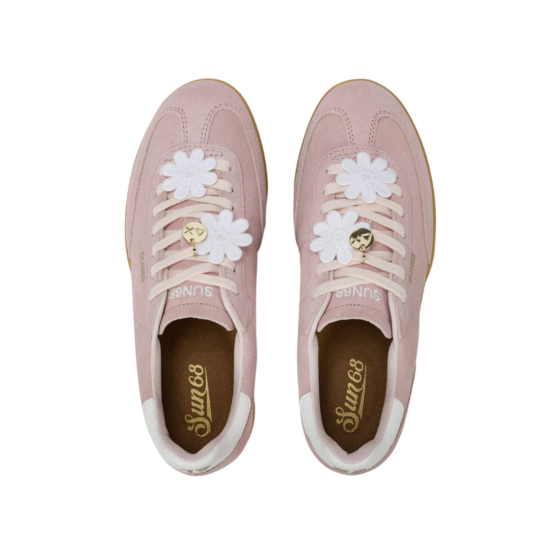 Z36248ROSA